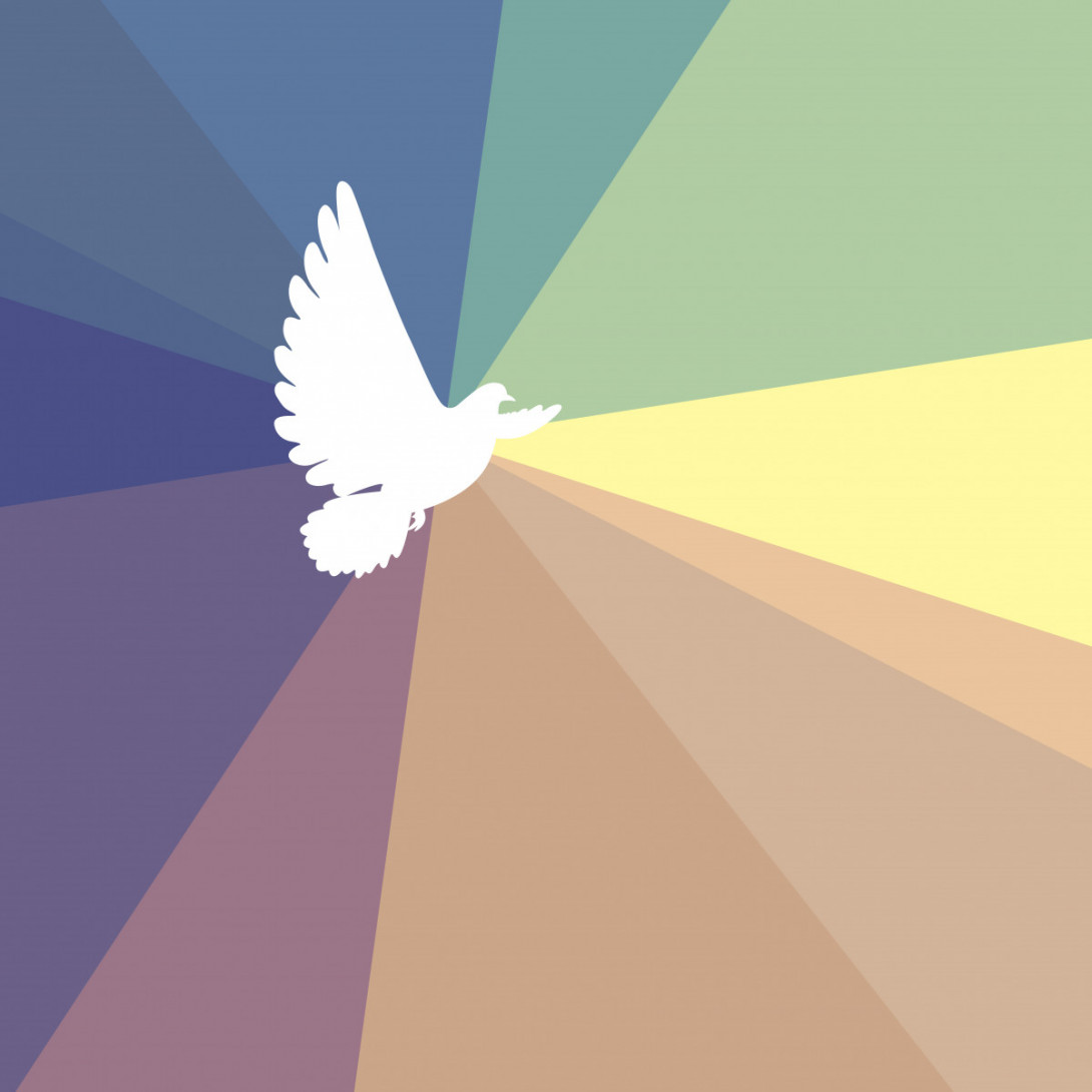 weiße Taube auf rechteckigem Regenbogen-Farbkreis